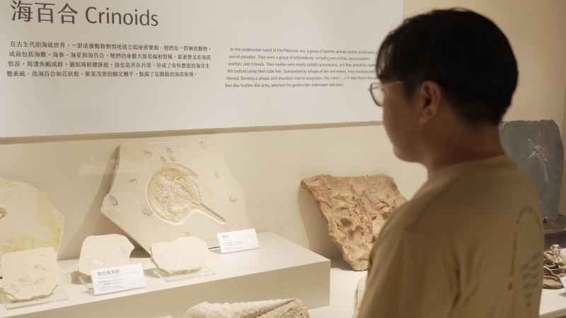 鱟會有期｜張弘榤｜國藝會補助成果檔案庫