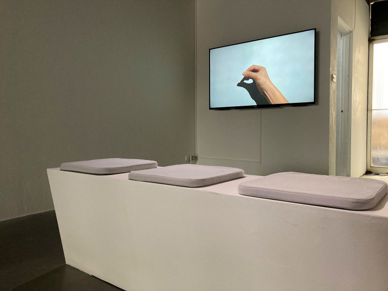 〈的的的的的〉許芸瑄、郭恩碩 展覽計劃｜海馬迴藝工隊｜國藝會補助成果檔案庫