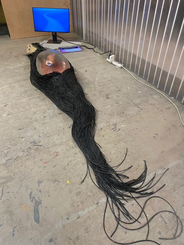 《它》－ 實驗影像與互動裝置創作計畫｜胡鈞荃｜國藝會補助成果檔案庫