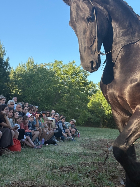 獻給馬戲的一點力量｜李軍｜國藝會補助成果檔案庫