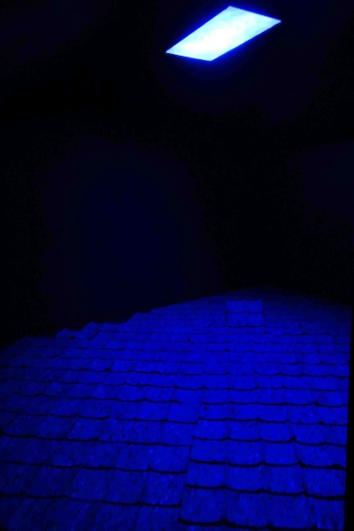 紅毯上的紅酒漬｜江蕎勤｜國藝會補助成果檔案庫