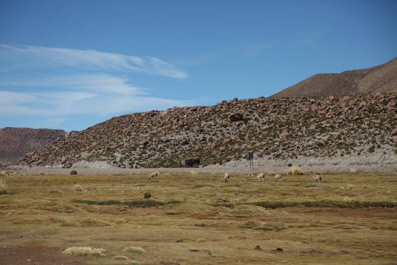La Wayaka Current - Desert 23°S (Atacama, Chile) 智利阿塔卡瑪沙漠藝術家駐村計畫｜曾彥翔｜國藝會補助成果檔案庫