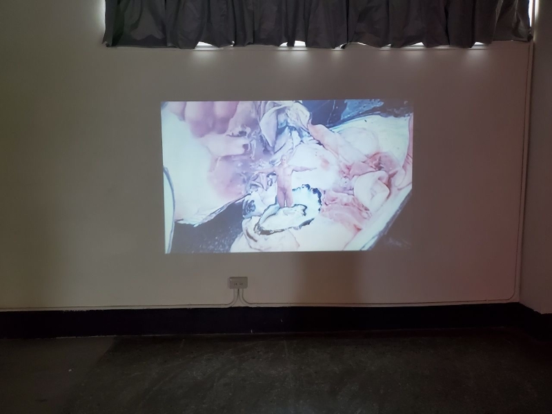 Sid and Geri個展｜吳育美｜國藝會補助成果檔案庫