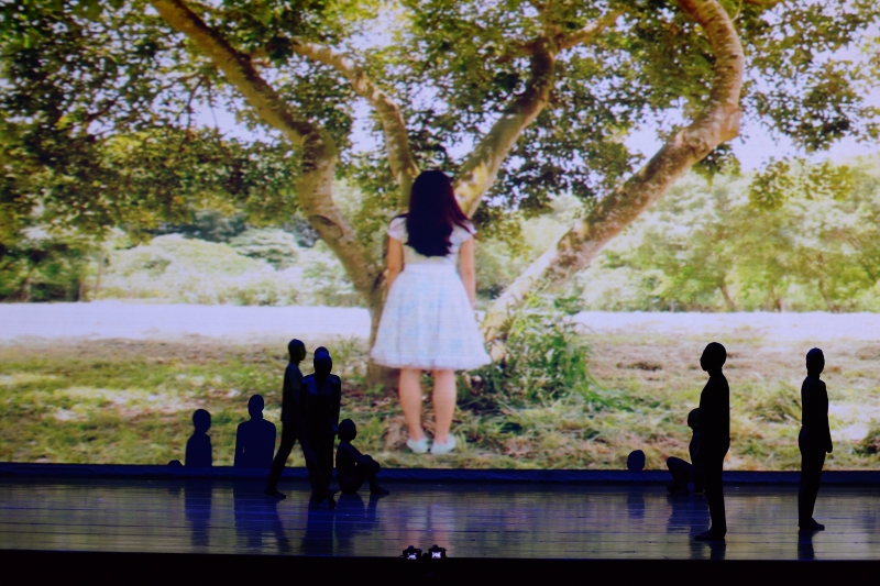 愛麗絲夢遊仙境｜蘭陵芭蕾舞團｜國藝會補助成果檔案庫