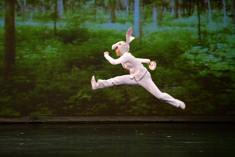 愛麗絲夢遊仙境｜蘭陵芭蕾舞團｜國藝會補助成果檔案庫