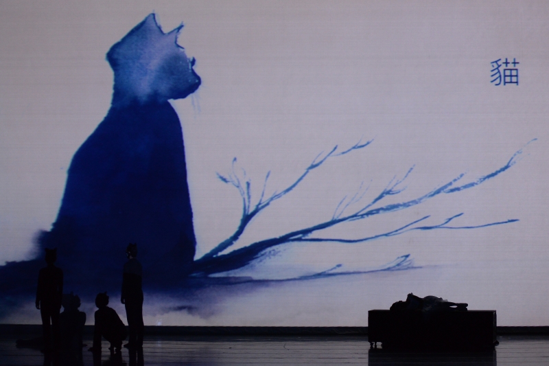 愛麗絲夢遊仙境｜蘭陵芭蕾舞團｜國藝會補助成果檔案庫