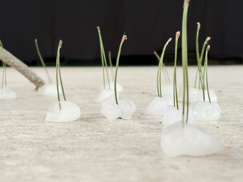 流動的記憶與地景｜莊馨怡｜國藝會補助成果檔案庫