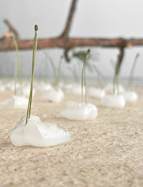 流動的記憶與地景｜莊馨怡｜國藝會補助成果檔案庫