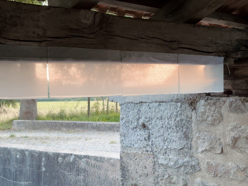 流動的記憶與地景｜莊馨怡｜國藝會補助成果檔案庫