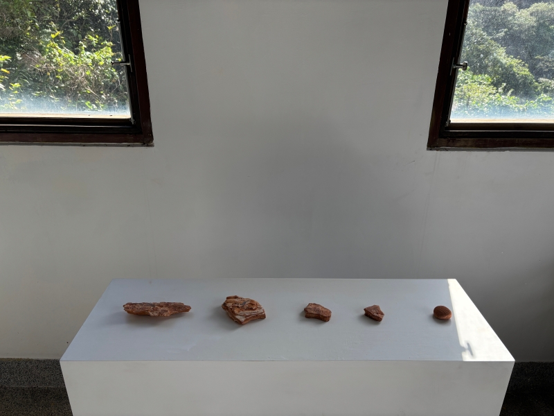 Flow Archive 流徑檔案：後工業金瓜石的材料生態書寫 展覽計畫｜陳子榆｜國藝會補助成果檔案庫