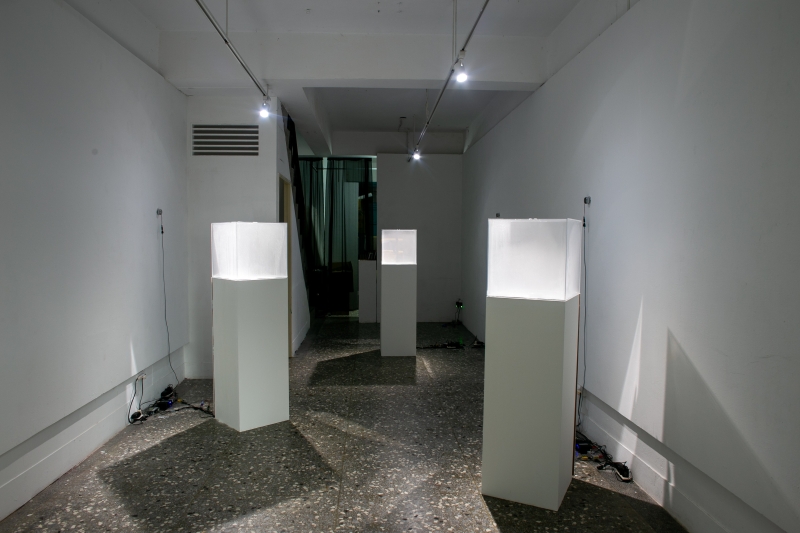 煉聲術-張欣語個展｜張欣語｜國藝會補助成果檔案庫