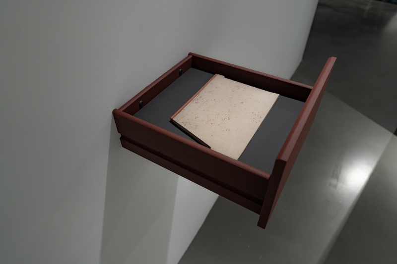 家屋收藏100號 創作計畫 – 中後期｜柴喬軒｜國藝會補助成果檔案庫