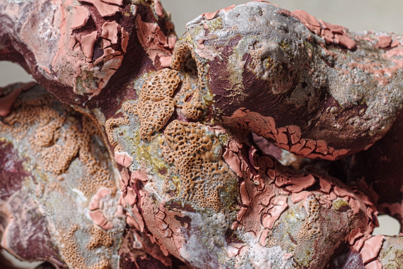 荷蘭EKWC-歐洲陶藝中心駐村創作計畫|詹薪敏|國藝會補助成果檔案庫