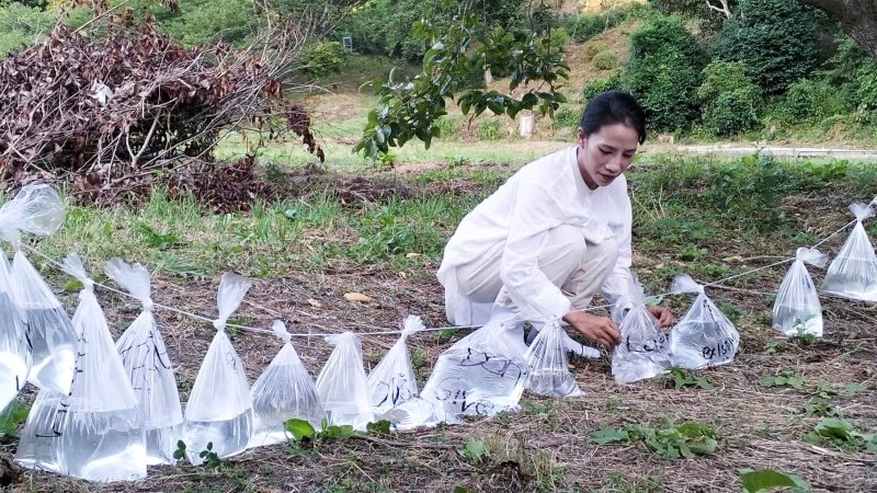 受邀日本東京、石卷、青森國際藝術交流駐地創作演出計劃｜李瓊蝶｜國藝會補助成果檔案庫