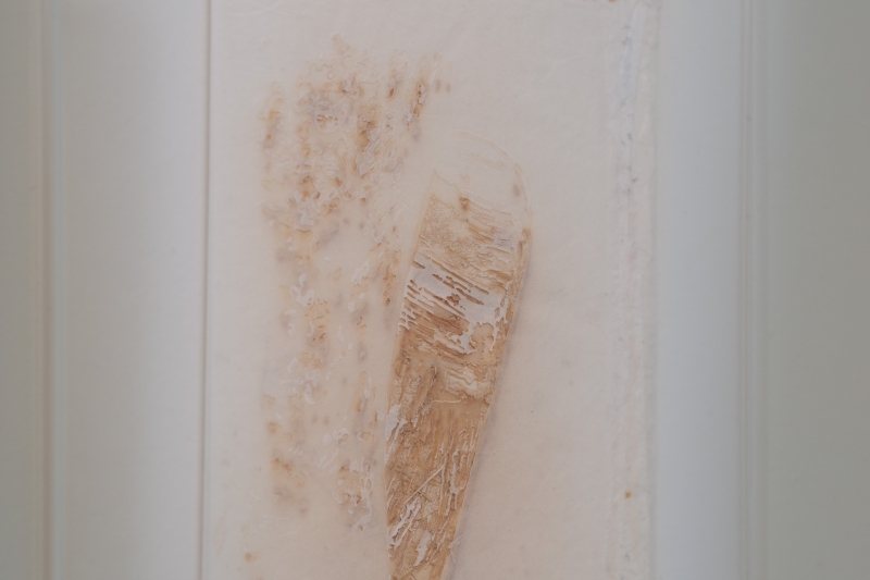 足漬：褪的時間  城市傷口採集計畫 Footprints: Eroding Time, Urban Wounds Collection Project｜傅聖雅｜國藝會補助成果檔案庫