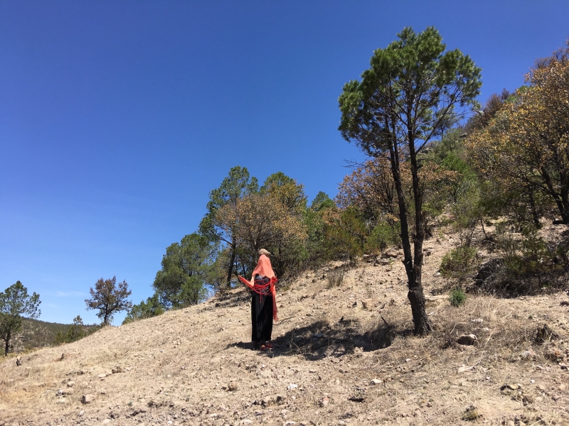 墨西哥參展｜葉子啓｜國藝會補助成果檔案庫