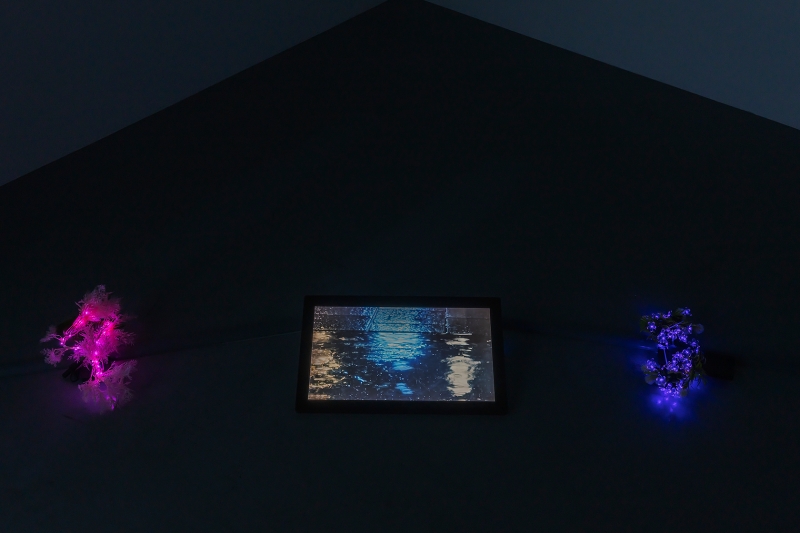 《Face to Place》韓國Incheon Art Platfrom × 駁二國際交流駐村計畫｜徐聖凱｜國藝會補助成果檔案庫