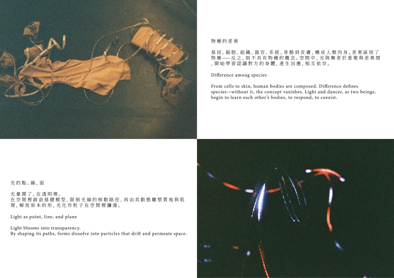 林映辰《Embodying》—WSD 2025 世界劇場設計競賽新銳燈光設計組參展交流計畫｜林映辰｜國藝會補助成果檔案庫