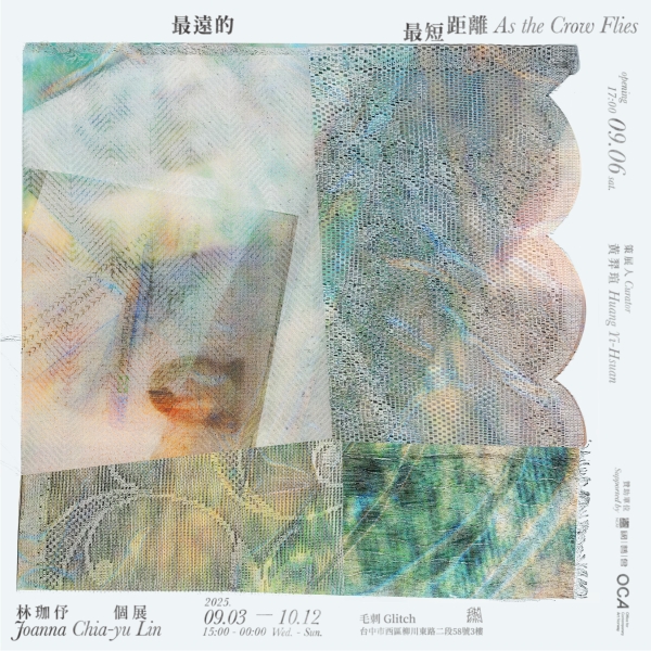 《最遠的最短距離 As the Crow Flies》｜林珈伃｜國藝會補助成果檔案庫