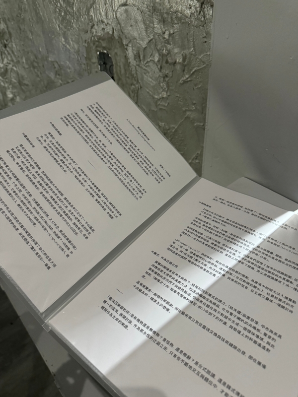 變成弦樂器的樹｜林佩儒｜國藝會補助成果檔案庫