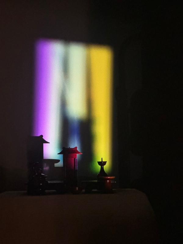 變成弦樂器的樹｜林佩儒｜國藝會補助成果檔案庫