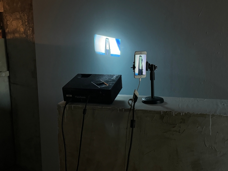 變成弦樂器的樹｜林佩儒｜國藝會補助成果檔案庫