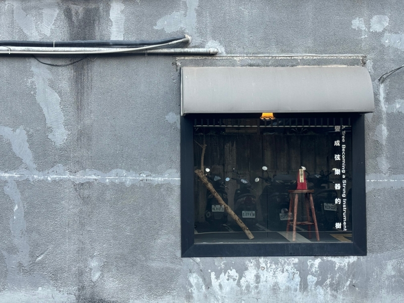 變成弦樂器的樹｜林佩儒｜國藝會補助成果檔案庫