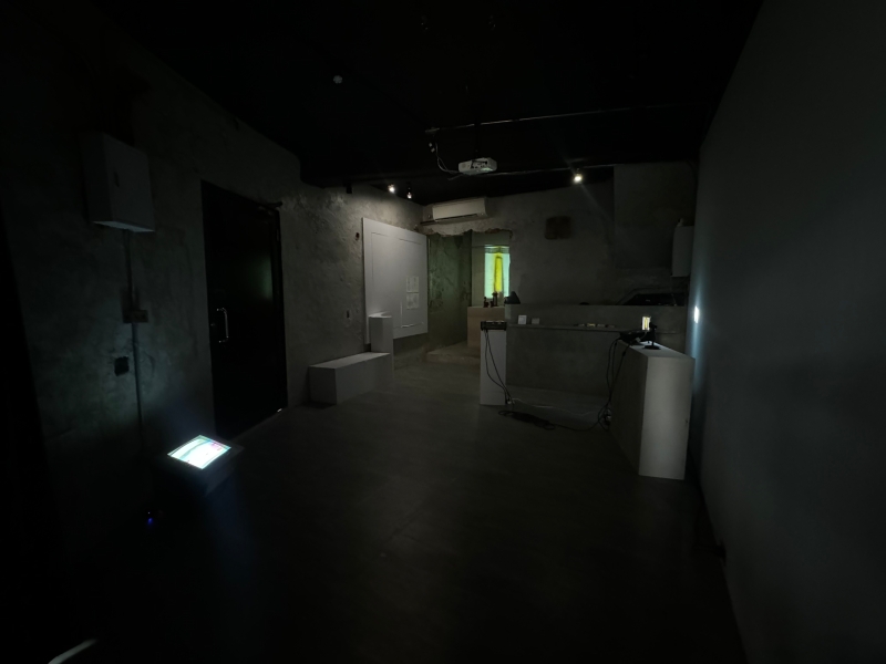 變成弦樂器的樹｜林佩儒｜國藝會補助成果檔案庫