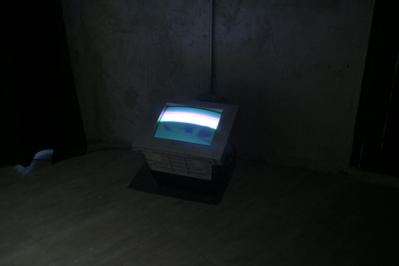 變成弦樂器的樹｜林佩儒｜國藝會補助成果檔案庫