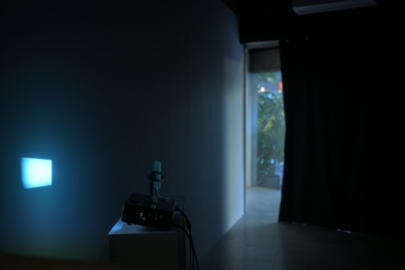 變成弦樂器的樹｜林佩儒｜國藝會補助成果檔案庫