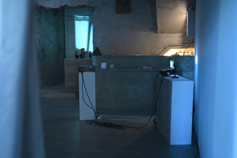 變成弦樂器的樹｜林佩儒｜國藝會補助成果檔案庫