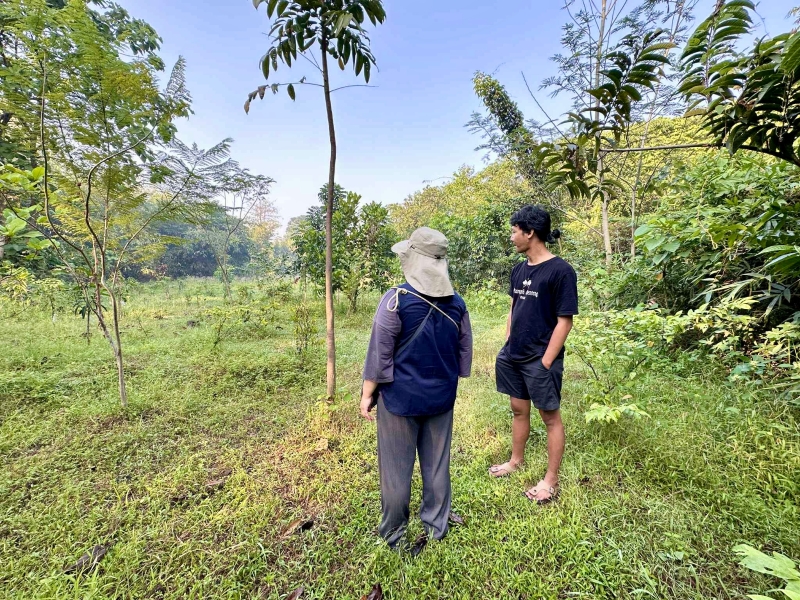 從台灣劇場到印尼穀倉——在卡塞爾遇見全球南方以後｜黃郁晴｜國藝會補助成果檔案庫