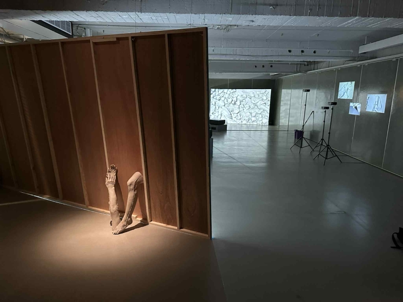 「脊柱的災難」創作計畫|許哲瑜藝術工作室|國藝會補助成果檔案庫