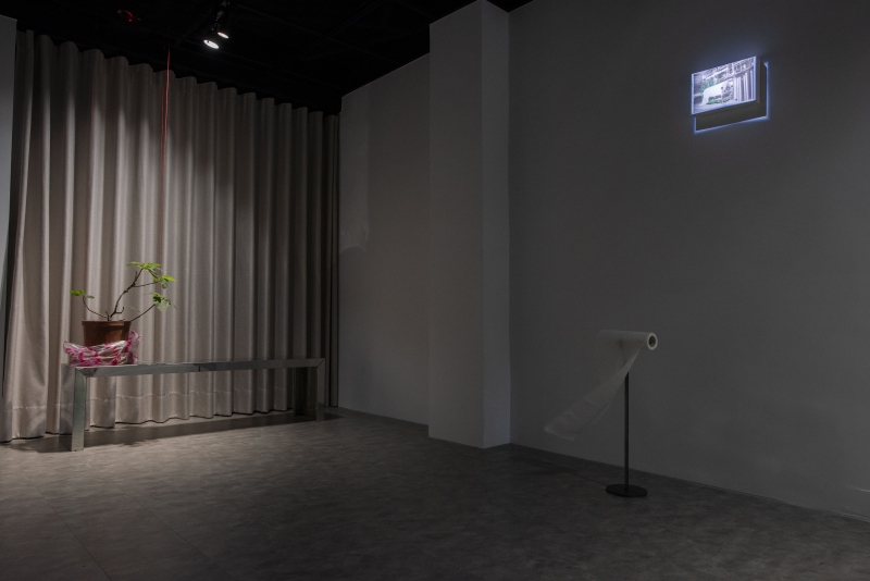 那些死過人的樹，都被做成衛生紙 －羅硯澤創作個展｜米豆藝術空間｜國藝會補助成果檔案庫