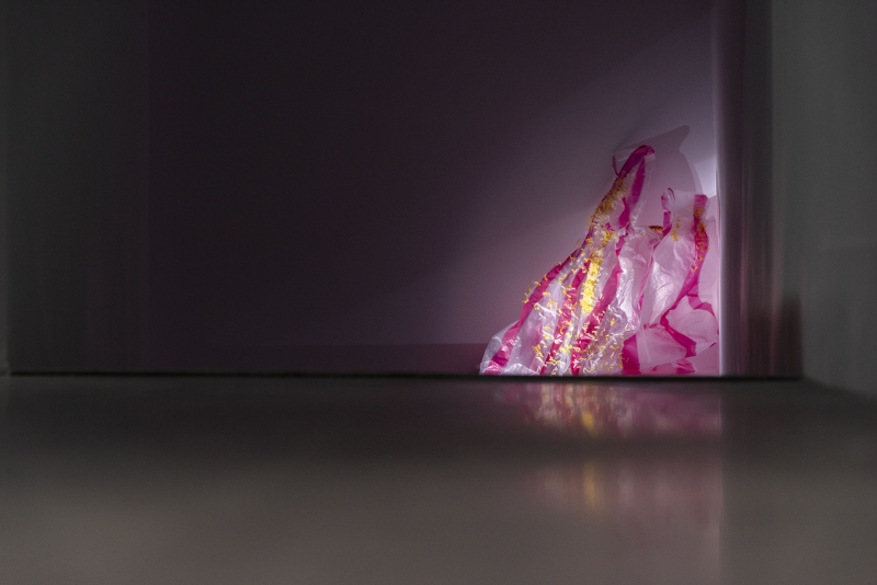 那些死過人的樹，都被做成衛生紙 －羅硯澤創作個展｜米豆藝術空間｜國藝會補助成果檔案庫