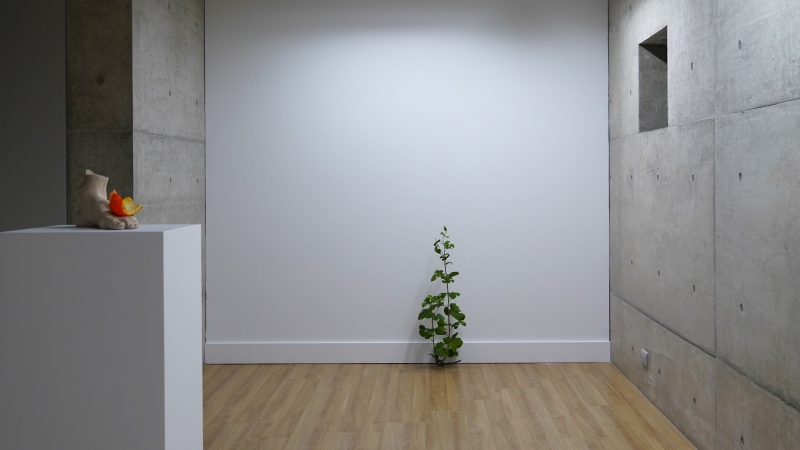 托尼‧馬特利：佈局 ─ 托尼‧馬特利Tony Matelli個展｜財團法人毓繡文化基金會｜國藝會補助成果檔案庫