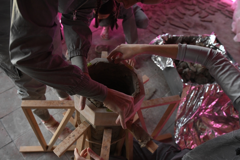 受邀2025 Terrapolis‒Transversal Ecologies Festival展演計畫｜杜宜蓁｜國藝會補助成果檔案庫