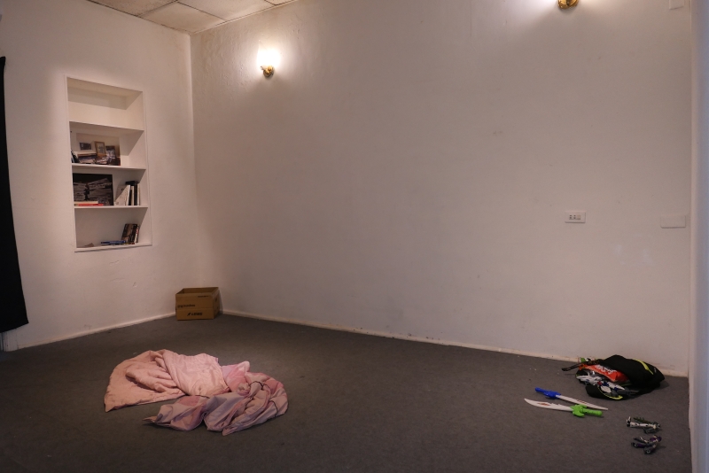 《本是同根生》—— 蔡定邦 個展 ｜蔡定邦｜國藝會補助成果檔案庫