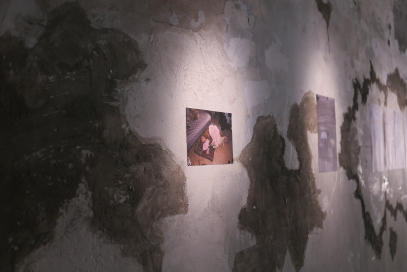 《本是同根生》—— 蔡定邦 個展 ｜蔡定邦｜國藝會補助成果檔案庫