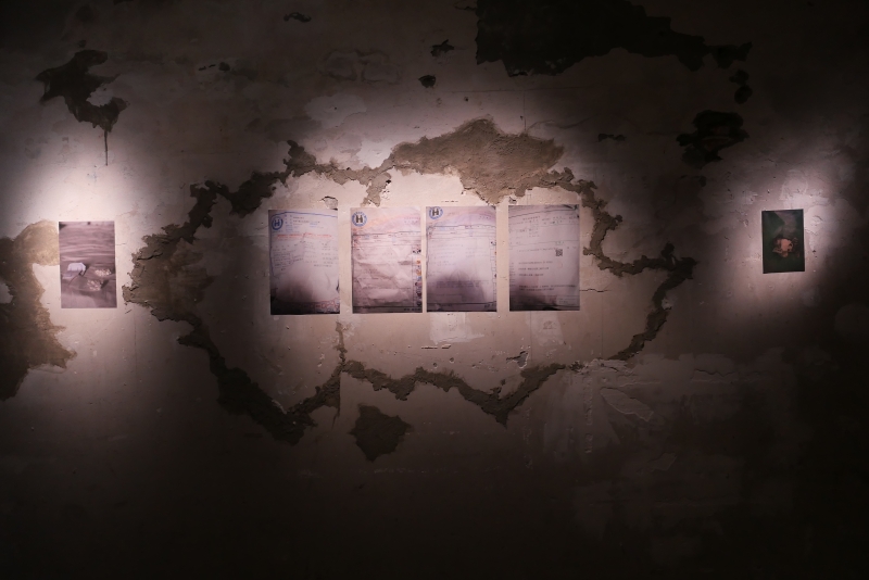 《本是同根生》—— 蔡定邦 個展 ｜蔡定邦｜國藝會補助成果檔案庫