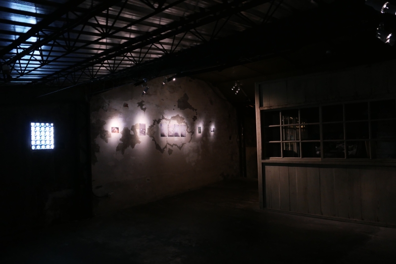 《本是同根生》—— 蔡定邦 個展 ｜蔡定邦｜國藝會補助成果檔案庫