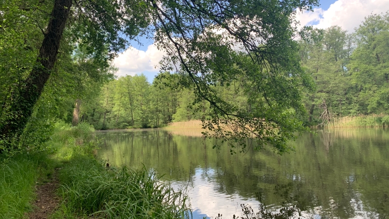 Currents and Crossings｜陳煒璿｜國藝會補助成果檔案庫