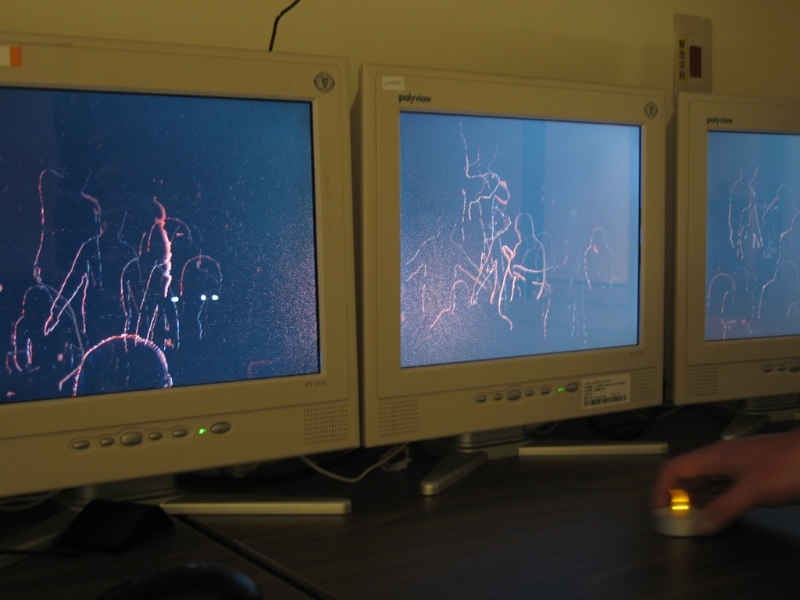 “誰”系列作品創作計劃｜曾鈺涓｜國藝會補助成果檔案庫