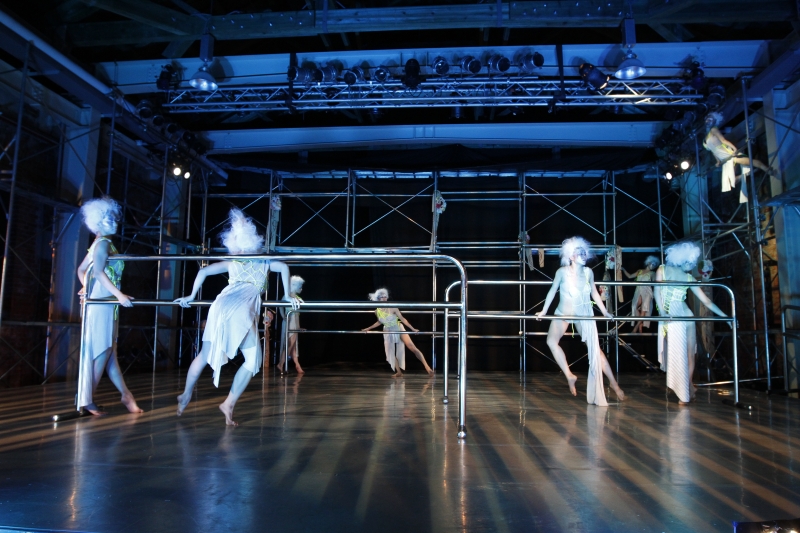 器官感性｜世紀當代舞團｜國藝會補助成果檔案庫