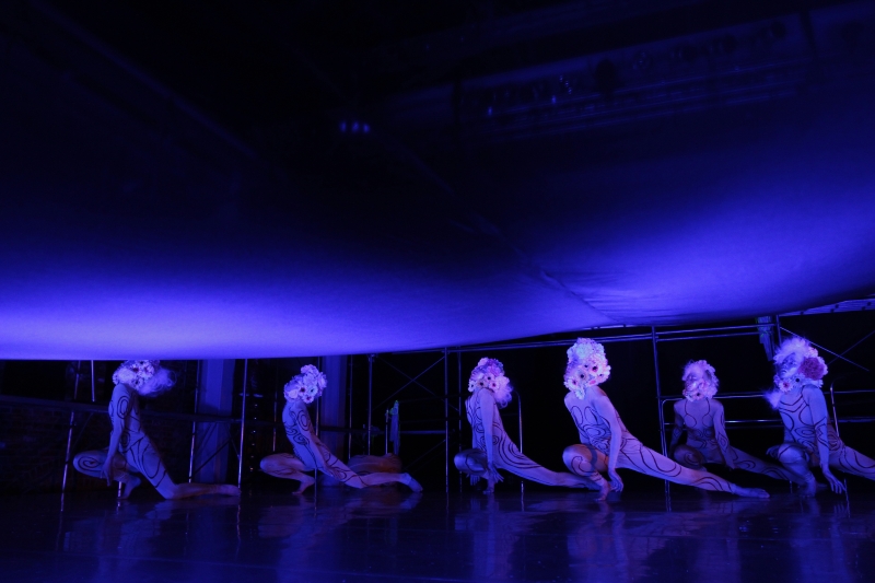 器官感性｜世紀當代舞團｜國藝會補助成果檔案庫