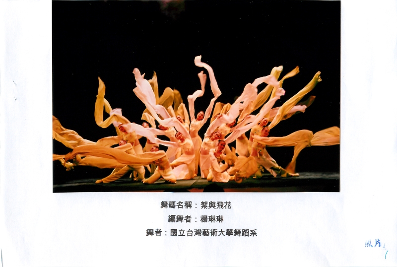 2005舞蹈節  台灣起舞嘉年華｜中華民國舞蹈學會｜國藝會補助成果檔案庫