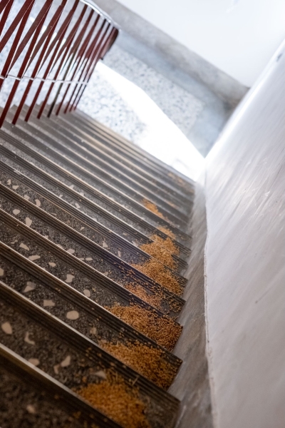 再慢一點！--- 在失速的地景中，我們這樣對話著｜新樂園藝術空間｜國藝會補助成果檔案庫