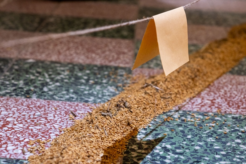 再慢一點！--- 在失速的地景中，我們這樣對話著｜新樂園藝術空間｜國藝會補助成果檔案庫