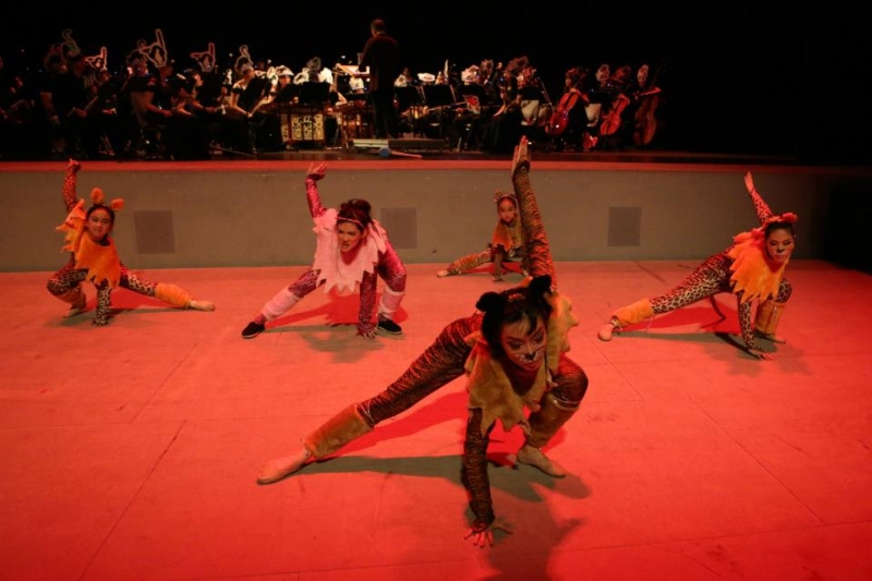 海底奇觀-國樂兒童音樂會｜九歌民族管絃樂團｜國藝會補助成果檔案庫