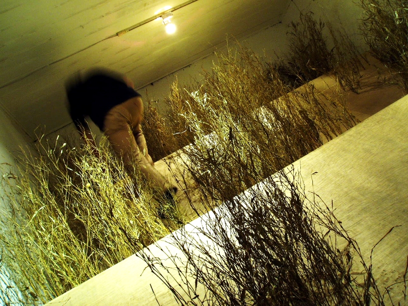 丁昶文2005年個展  隨機的約束｜丁昶文｜國藝會補助成果檔案庫